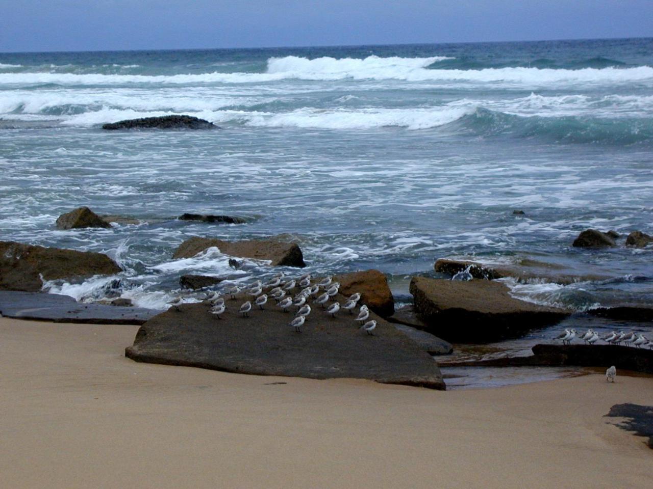 Mtubatuba Hornbill House B&B 외부 사진